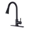 Pull Down Kitchen Faucet with Sprayer Stainless Steel Matte Black - as Pic
