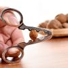 1pc Nuts Pistachio Opener Clamp Melon Seed Plier Scissor Nut Cracker Opener Clamp - Modern