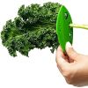 1pc Herb Stripper; 8 Holes Kitchen Herb Leaf Stripping Tool; Tool For Kale; Collard Greens; Thyme; Basil; Rosemary Stripper - Green