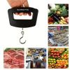 50kg/10g Scale Digital Precise Mini Fish Hook Hanging Scale Flectronic Weight Scale For Travel Household Outdoor; Portable Electronic Luggage Scale -